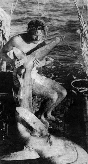 El 1947, Thor Heyerdahl va pescar taurons per alimentar la Kon-Tiki