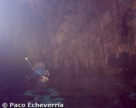 Cueva de Pont d'en Gil