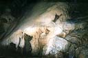 INTERIOR DE LES TRES COVES. En el seu interior es pot apreciar una cascada de calç que cobreix completament les roques que configuren les parets de la cova.