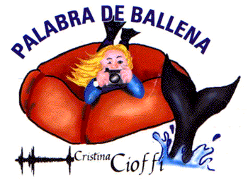 Palabra de Ballena, por Cristina Cioffi